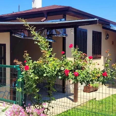 боби * Цигов чарк