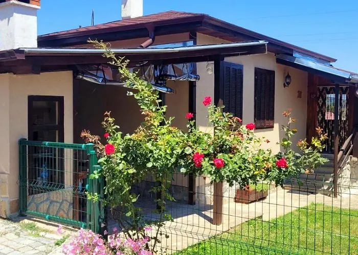 боби * Tsigov Chark